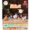 BANDAI Cane che mostra il suo retro set completo di 5 capsule BANDAI Gashapon giocat...