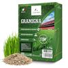 LERAVA Semi Gramigna per Prato (1,7 kg) - Copertura 170 m² - Semi gramignone resistenti alla siccità - Ideali per prati mediterranei e costieri - Consumo d'acqua 20% ridotto