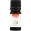 La Compagnie des Sens CAROTA SEMI BIO - 5mL - Olio Essenziale di Qualità Premium - 100% Puro, Naturale, Garantito ChromaCert® - Chemiotipizzato & Integrale