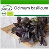 SAFLAX - BIO - Basilico Rosso - 400 semi - Ocimum basilicum