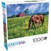 Buffalo Games - Country Life - Near and Dear - Puzzle da 1000 pezzi