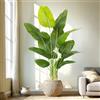 Keeplush Pianta Artificiale Uccello del Paradiso 180cm Alta, Piante Finte da Interno Grandi Finta con 13 Foglie Albero di Banano Artificiale Per Interni Esterno Soggiorno Ufficio Giardino Dec（1 PACK）
