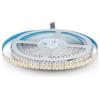 Generic UNIVERSO STRIP STRISCIA LED MONOCOLORE 5 METRI DC 24V SMD 2835 238 LED METRO IP20 90W 9900 LUMEN (BIANCO NATURALE)