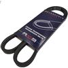 Generico 163730031 Cinghia Trasmissione RMS TIPO ORIGINALE per PIAGGIO BOSS 50 1988/1989, CBS1T, SIM1TSIV1T, SRM1TSRV1T, C0500