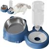 Generic Set di ciotole per cibo per gatti - inclinati con distributore automatico di acqua per animali domestici, in acciaio , grande capacità per cani, cuccioli e gattini, uso domestico