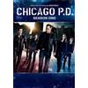 Universal Studios Home Entertainment Chicago P.D.: Season 1 (DVD) Jason Beghe Sophia Bush Jon Seda