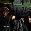 Elliott Sharp's Terraplane Livin' Hear (CD) Album