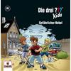 Ulf Blanck Die drei ??? Kids 80. Gefährlicher Nebel (CD)