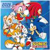 Grupo Erik: Calendario 2026 da Muro Sonic Gadget| Calendario geniale 2026-30x30cm, Planner 2026 - Mensile da Parete