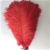 shekyeon 30 - 35 cm, Piume di Struzzo per Matrimoni e Decorazioni, Confezione da 10 Rosso