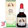 ERBENOBILI SRL FITOBLASTO RIBES NIGRUM 50 ML