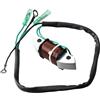 GPJTJROL for Y/a/m/a/h/a 66t-85533-00 66t-85533 66t-85533-00 177-0013 Bobina di Illuminazione Motore fuoribordo 40hp E40x 2 Tempi Parti del Motore for Barche