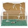 AntHouse - Formicaio Naturale di Sabbia - Kit L (Sandwich + Cassa di Foraggiamento) (Formiche Incluse con Regina)