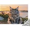 QKZJXNHPWR Gatto Maine Coon Puzzle 1000 Pezzi per Adulti Carta Tramonto Puzzle per Famiglia Decorazione Regalo 52x38cm/1000pcs