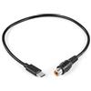 Omegon Cavo Adattore USB-C - 12V RCA