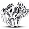 CWOne Designs Ciondolo in Argento Sterling 925 per Braccialetti Pandora - Ciondolo Autentico in Argento Sterling S925 per Braccialetti con Sacchetto Regalo, One size, Argento sterling, Zirconie