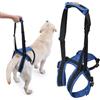 Piashow Tracolla Per Cani Con Maniglia E Supporto Per Scale, Zampe Posteriori Regolabile Per Anziani E Disabili, Cani Paralizzati Posteriori, Blu, Taglia S