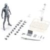 Raxove DX Set Uomo e Donna Colore Grigio e Body Chan Set, DX Set, PVC Azione Disegno Manichino per Artisti Modello Disegno per SHF S H Figuarts Giocattoli da Collezione
