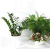 DecoMeister fogli per finestre pellicola adesivi per vetri decorativi decorazioni lamine autoadesivi trasparente lucida 90x150 cm Cristallo chiaro lucido