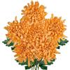 Hollyone Fiori di crisantemo artificiali grandi da 15,2 cm, con stelo lungo 65,6 cm, 6 fiori finti in seta gialla dorata, per decorazioni per la casa, sposa, matrimoni, composizioni floreali, decorazioni