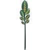 VESTA Fiore decorativo Funny Flowers - Calathea - 12xH59,5 cm - Cristallo acrilico - Made in Italy
