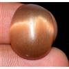 16.60 CT Naturale Ovale Cabochon Marrone di Gatto Occhio Gemma Senza Certificato