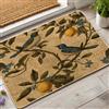 Generic Zerbino vintage con uccelli e agrumi, zerbino retrò con uccelli blu, per decorazione primaverile per interni ed esterni, antiscivolo, impermeabile, antipolvere, facile da pulire, 73 x 43 cm