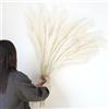 Larber 8 pcs Faux Pampas Grass 113CM, Soffice Erba Artificiale Pampas Falso Erba Pomposa per Vaso Home Wedding Decor (Beige)