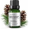 AMYRON Olio Essenziale Pino Silvestre 15ml AMYRON | Pinus sylvestris | Naturale E Puro Al 100% Ideale Per Aromaterapia E Diffusore Oli Essenziali | Massaggi aromatici | Senza OGM.