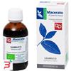 FITOMEDICAL SRL SAMBUCO TINTURA MADRE 50 ML BIO