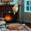 2 Pezzi Ornamento Cockatiel in Miniatura Regalo Carino per Vetrina