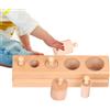 Generico Classificatore di Forme | Giochi di Abbinamento con Tronchetti a Pomello e Incavi | di Cilindri in Legno - per Bambini Educazione Precoce Apprendimento Casa e Asilo