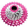 HKZRTUDS Compatibile con la Cassetta da Strada HG ZRACE Alpha Ex a 12 velocità, Completamente Cava CNC, Super Leggera e Rosa,Componenti(12s 34T Pink)