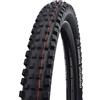 SCHWALBE 11601010, Magic Mary Evo, Apex, Snakeskin, TLE Unisex Adulto, B/B-SK, 65-584 HS447 ADDIX Soft 67EPI