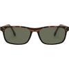 sunoptic Occhiali da sole uomo marroni classici sunoptic cp122 Lente verde