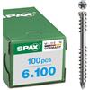 Spax - Viti per Terrazze in Legno con testa cilindrica 6.0 X 100 Torx 25 Acciaio Inossidabile A4, 100 pezzi, 538000601003