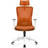 Durrafy Sedia da Ufficio Ergonomica, Poggiatesta & Supporto Lombare Regolabili, Rete Traspirante, 120° Inclinazione（Non bloccabile）, 360° Girevole, 150kg Carico. (arancione)