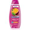 Schwarzkopf Schauma Fresh it up 400 ml