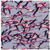 Deftones Gore (CD) Album