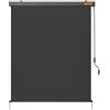 Yaheetech Tenda da Sole Verticale a Rullo Avvolgibile con Manovella Protezione Solare Impermeabile Parasole per Balcone Esterno Terrazza 160 x 250 cm Grigio Scuro