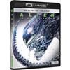 Divisa Films Alien UHD 4K