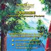 Hemi-Sync Chemotherapy Companion (Mandarin) (CD) Album