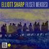 Elliott Sharp Elliott Sharp: Filiseti Mekidesi (CD) Album