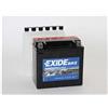 DFGRICAMBI BATTERIA MOTO POWEROAD YTX14L-BS HARLEY DAVIDSON SPORTSTER POSITIVO A DX