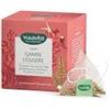 Generico Gambe Leggere 7 Filtri Scrigno - Tisana con Vite Rossa, Ananas, Meliloto, Finocchio, Melissa, Lemongrass e Limone - Filtri Piramidali Biodegradabili