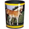Läufer 26663, cestino per la carta con motivo cane colorato, 13 litri, perfetto per la cameretta dei bambini, rotondo Cavallo e puledro. 13 L Cavallo e puledro.