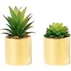 SasaAccueil Piante grasse artificiali finte, 17,8 cm e 12,7 cm, in vaso, decorazione per la casa, set di 2 vasi dorati