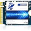 THREE COLOUR DOGFISH Dogfish SSD M.2 2230 NVMe PCIe 4.0 1TB 3D TLC NAND Gaming Unit?a stato solido interna per Steam Deck PS5 Surface Pro Laptop Desktop (M.2 2230 NVMe 4.0, 1TB)