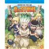 Crunchyroll Dr. Stone: Season 1 - Part 1 (Blu-ray)