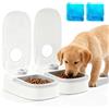 PORFOYO Distributore automatico di cibo, 350 ml*2 mangiatoie automatiche, 2 pasti, mangiatoia automatica per gatti, cibo secco e umido, timer di 48 ore, mangiatoia automatica per gatti e cani